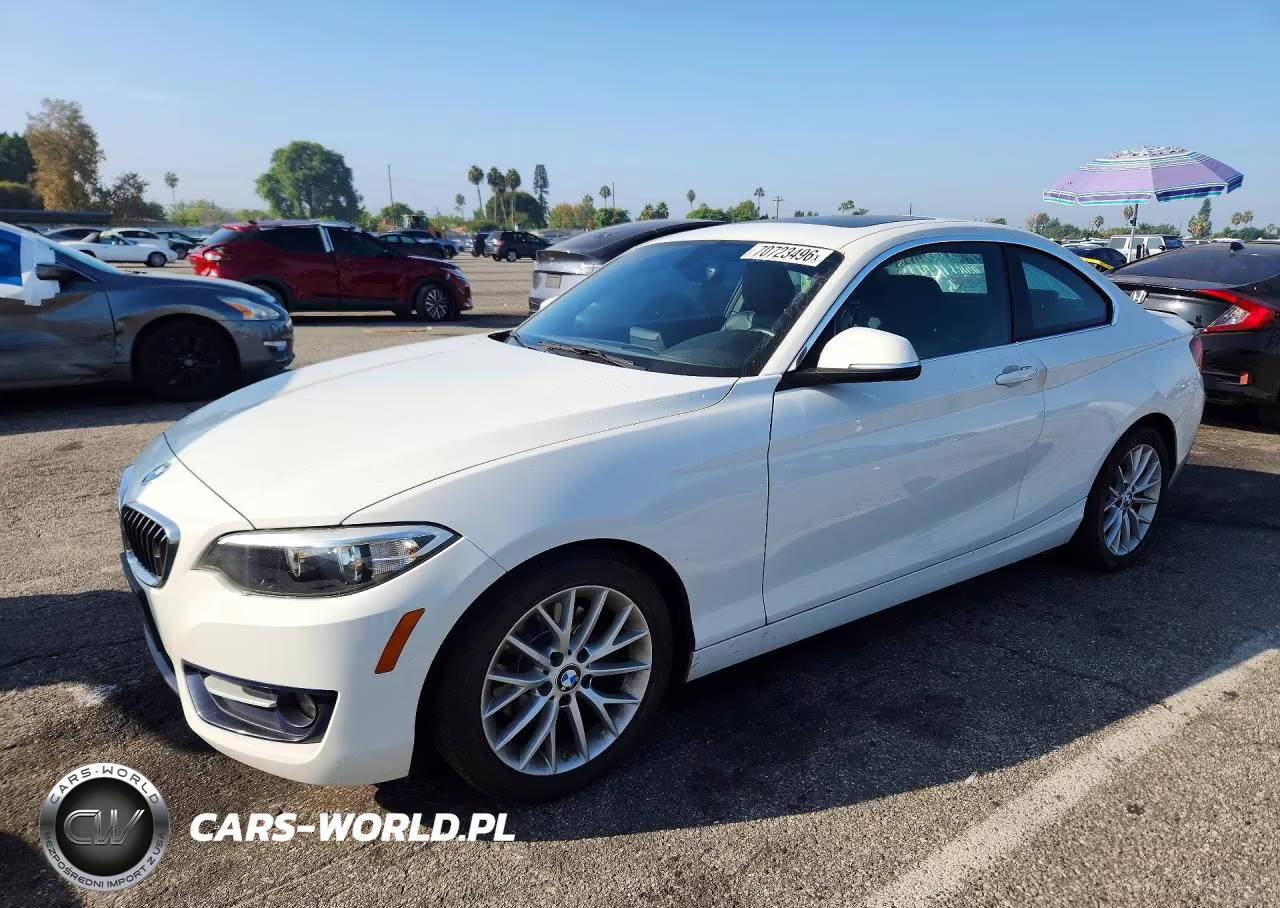 2016 BMW 228 I Sulev VIN:WBA1F9C59GV545123 - 1