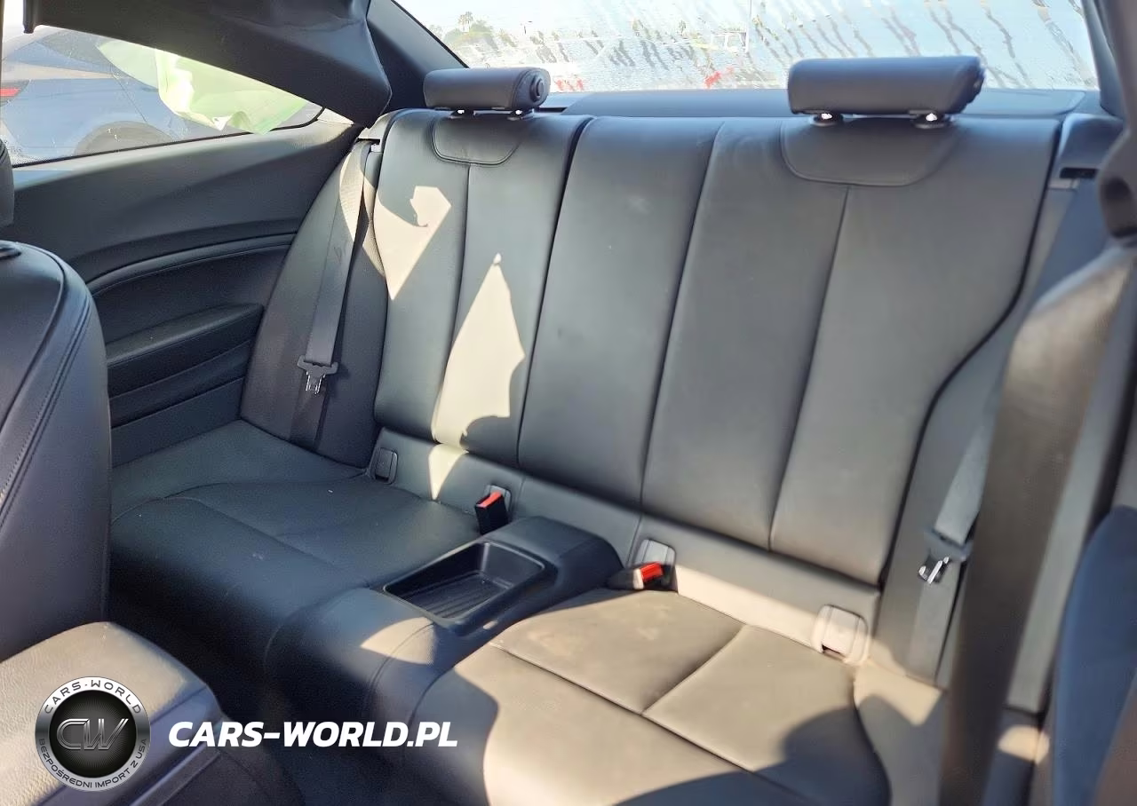 2016 BMW 228 I Sulev VIN:WBA1F9C59GV545123 - 10