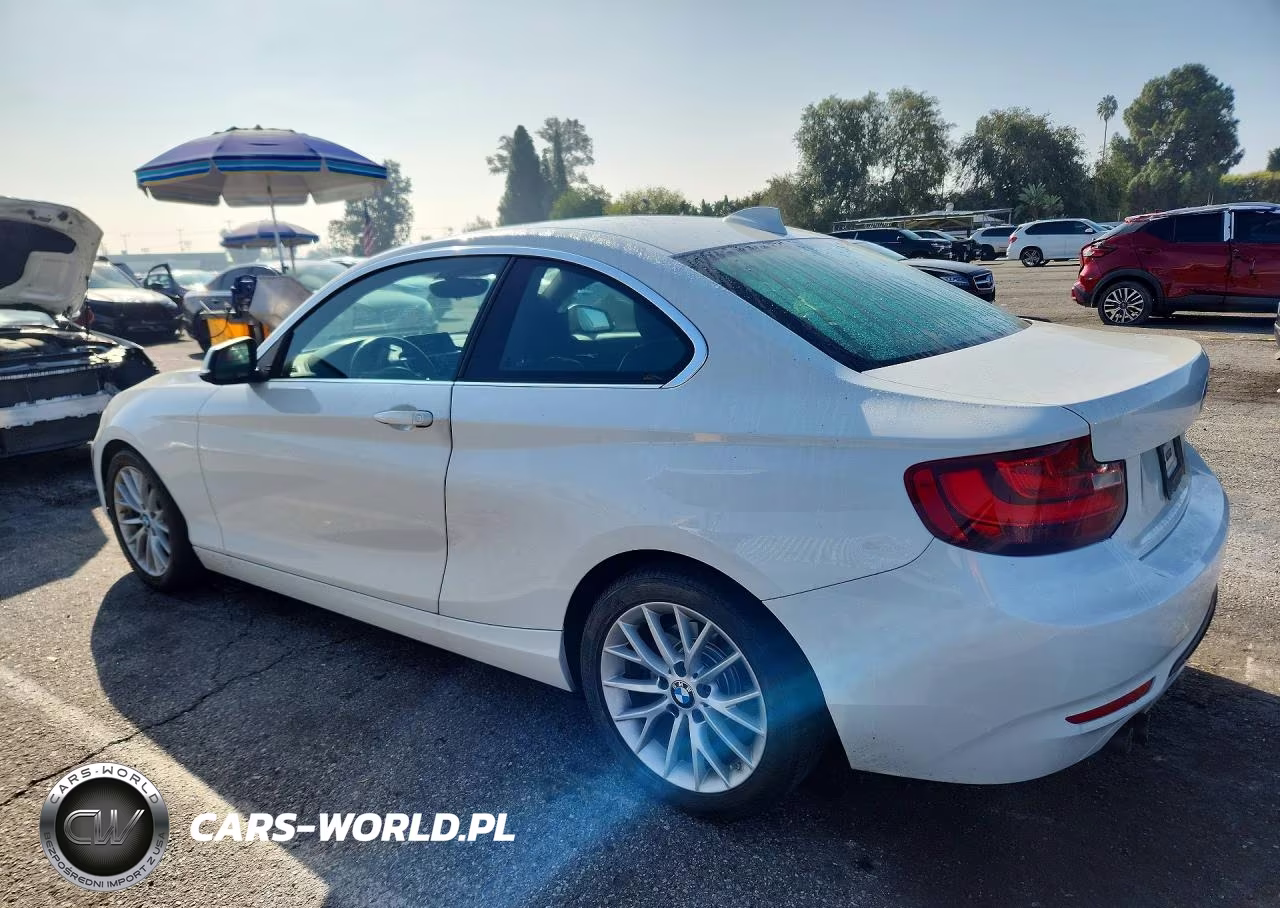 2016 BMW 228 I Sulev VIN:WBA1F9C59GV545123 - 2
