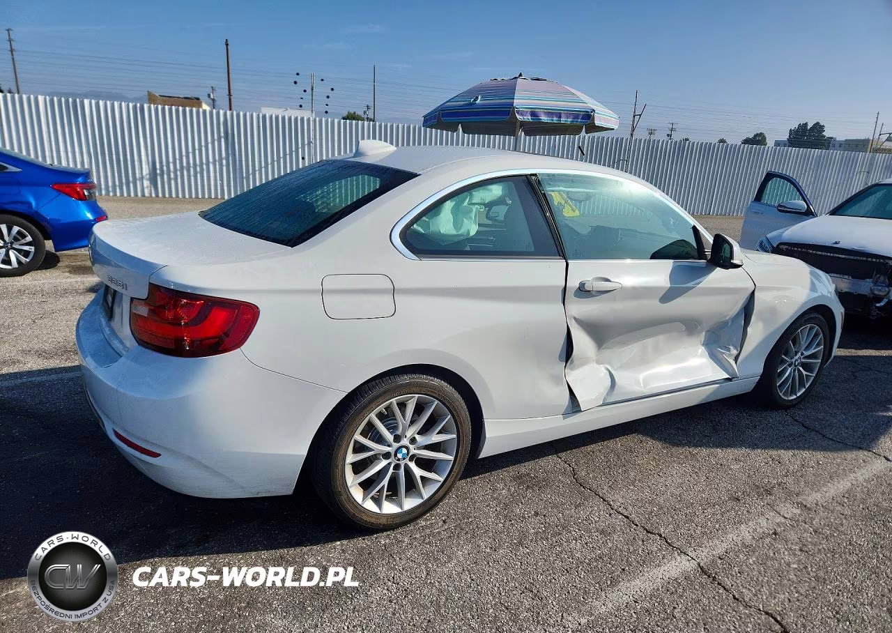 2016 BMW 228 I Sulev VIN:WBA1F9C59GV545123 - 3