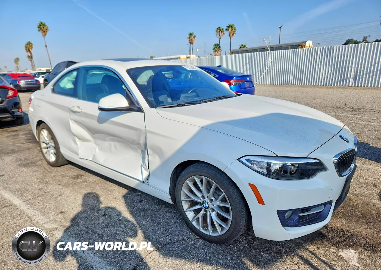 2016 BMW 228 I Sulev VIN:WBA1F9C59GV545123 - 4