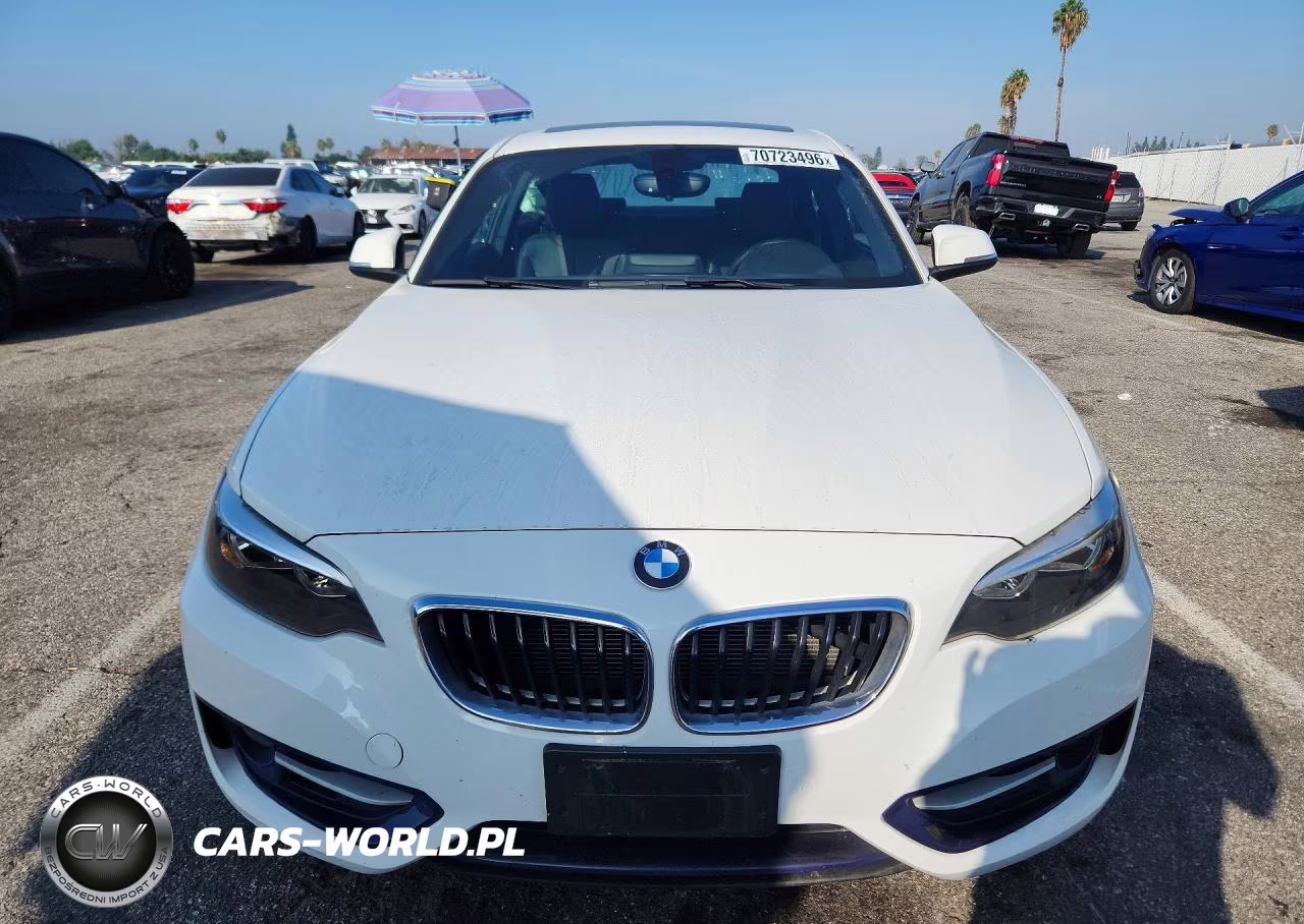 2016 BMW 228 I Sulev VIN:WBA1F9C59GV545123 - 5