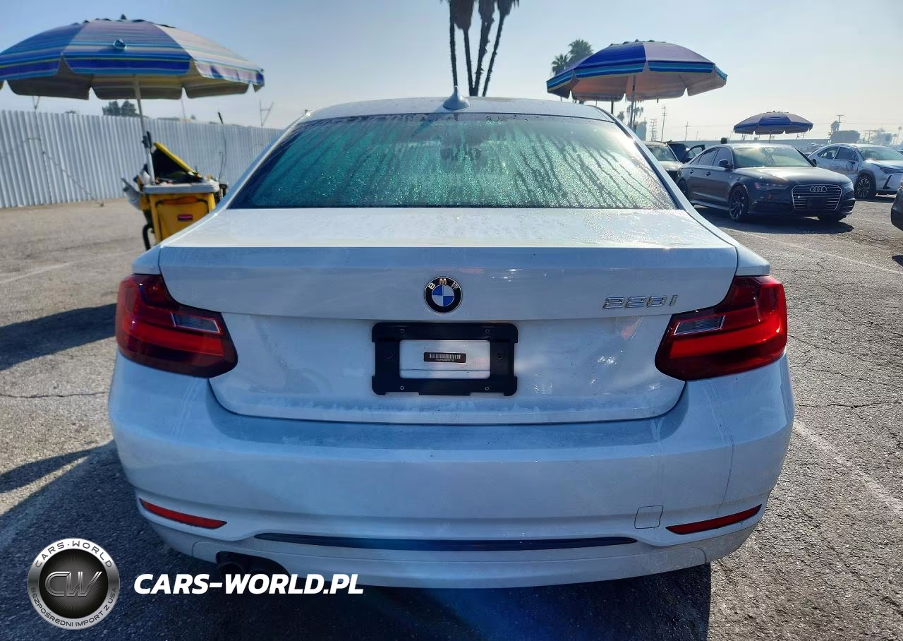 2016 BMW 228 I Sulev VIN:WBA1F9C59GV545123 - 6
