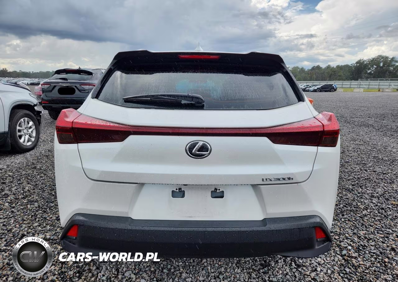 2025 Lexus Ux 300H Base VIN:JTHYBJAH5S2035565 - 6