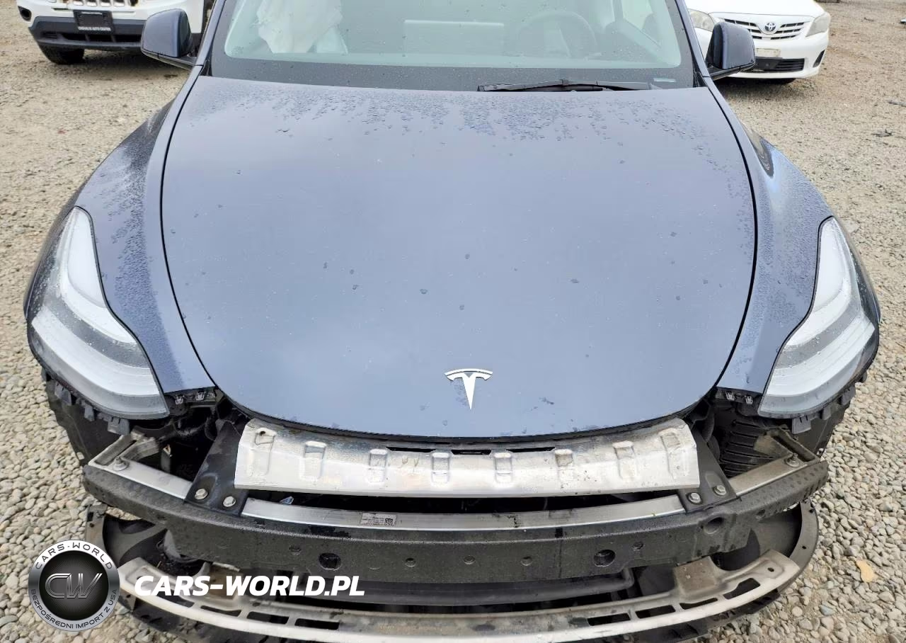 2023 Tesla Model Y VIN:7SAYGDEE2PA120856 - 12