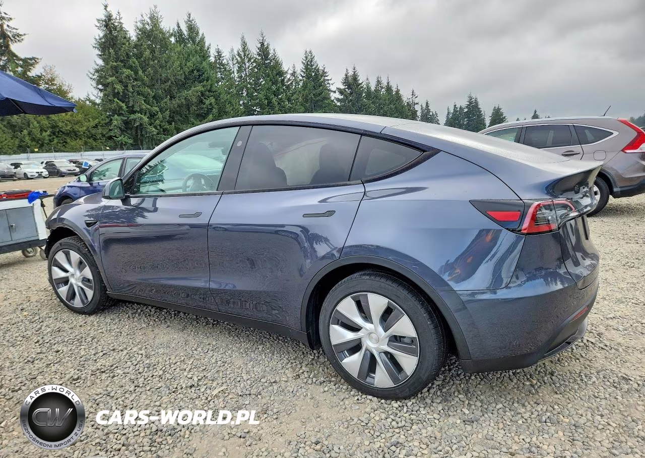 2023 Tesla Model Y VIN:7SAYGDEE2PA120856 - 2