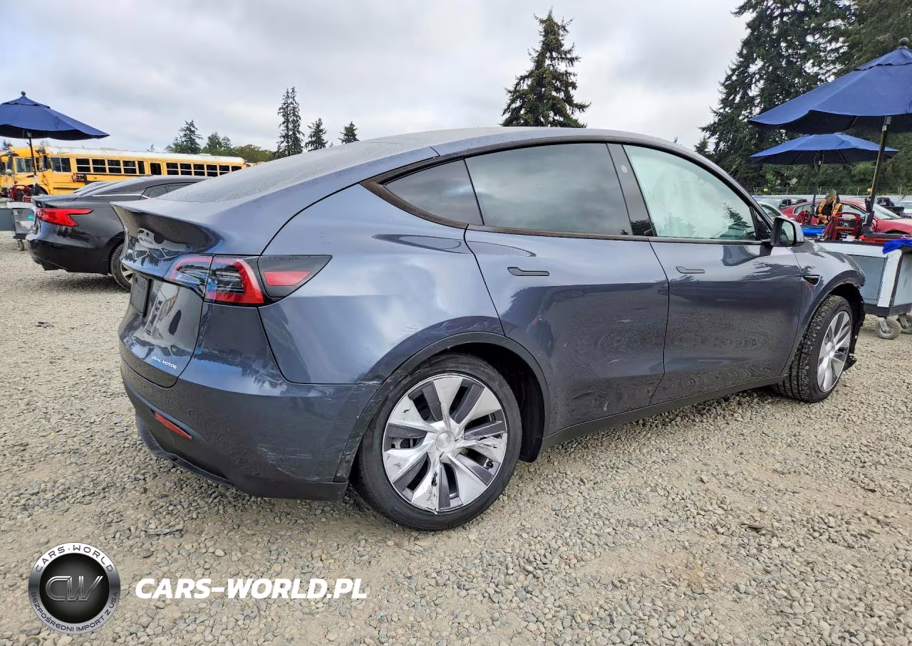 2023 Tesla Model Y VIN:7SAYGDEE2PA120856 - 3