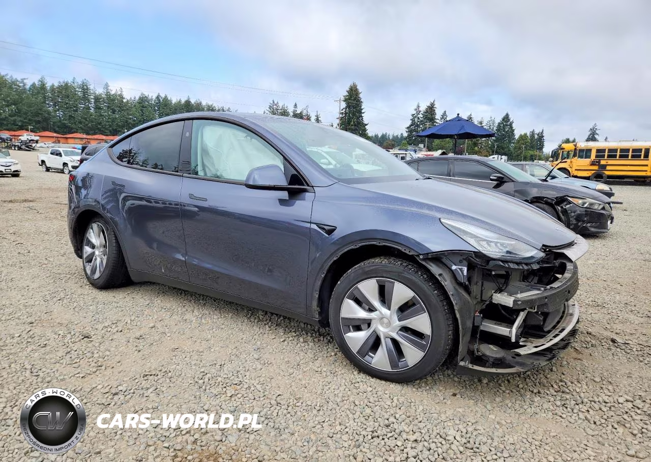 2023 Tesla Model Y VIN:7SAYGDEE2PA120856 - 4