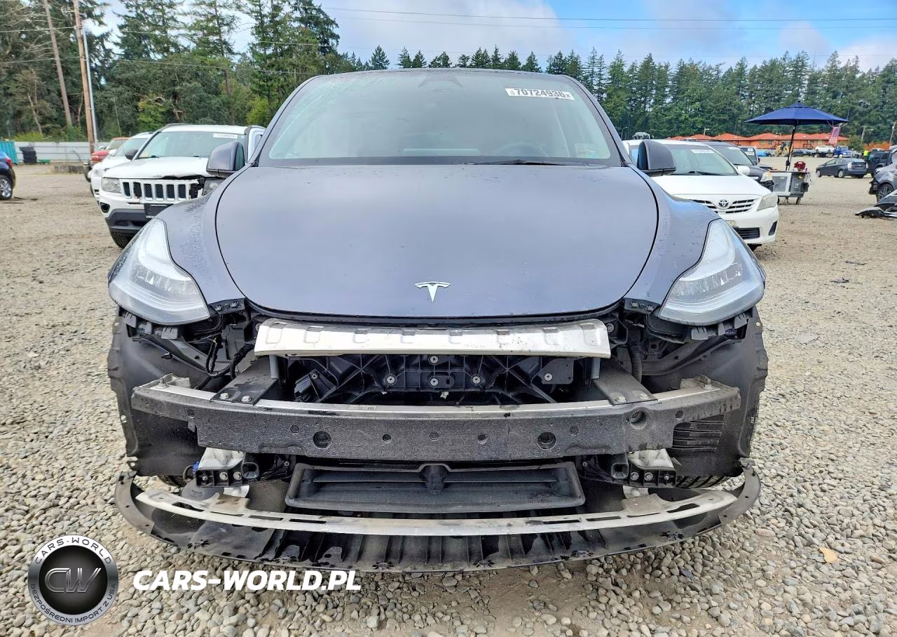 2023 Tesla Model Y VIN:7SAYGDEE2PA120856 - 5