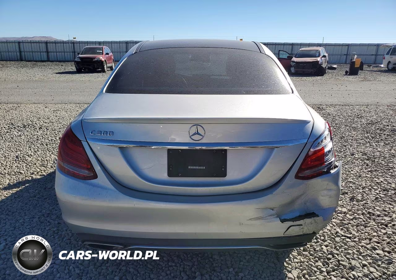 2016 Mercedes-Benz C 300 VIN:55SWF4JB0GU143007 - 6