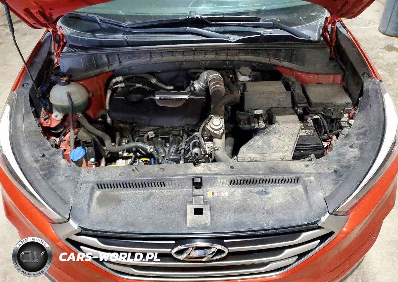 2017 Hyundai Tucson Eco VIN:KM8J3CA20HU339712 - 12