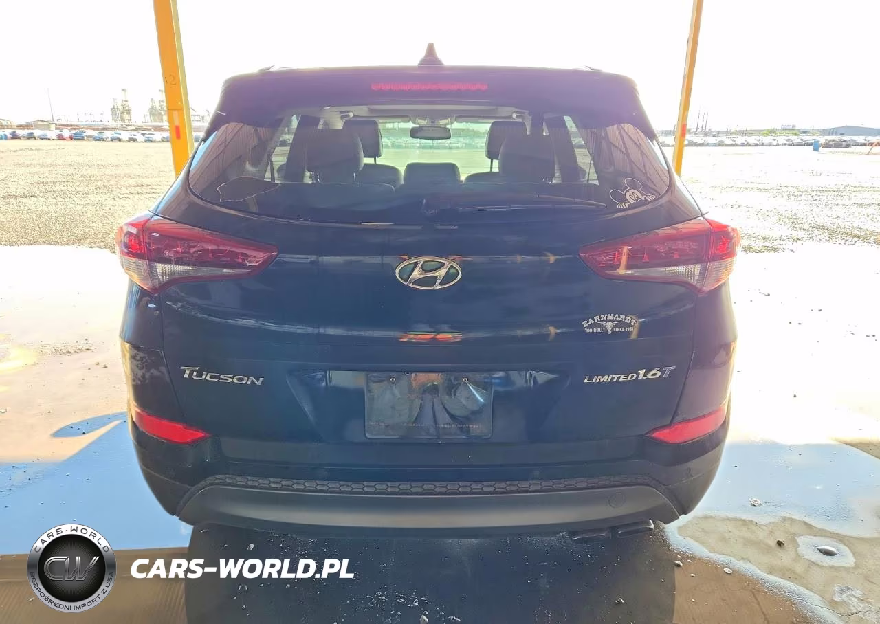 2016 Hyundai Tucson Limited VIN:KM8J33A21GU260368 - 6