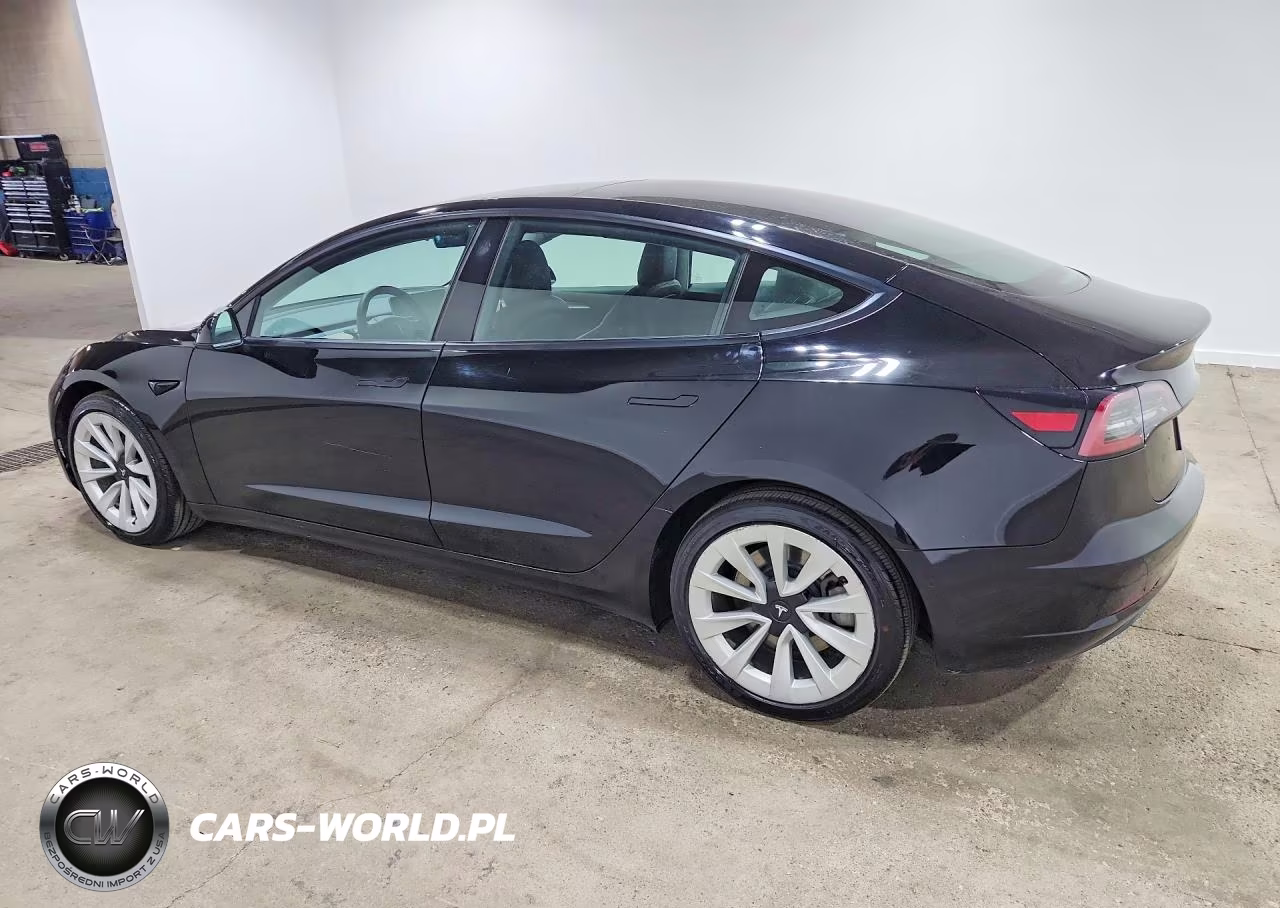 2022 Tesla Model 3 VIN:5YJ3E1EA2NF304462 - 2