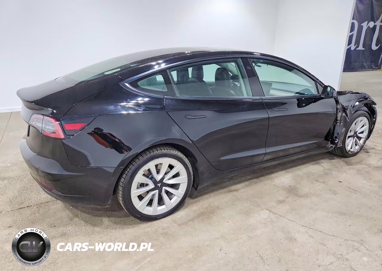 2022 Tesla Model 3 VIN:5YJ3E1EA2NF304462 - 3