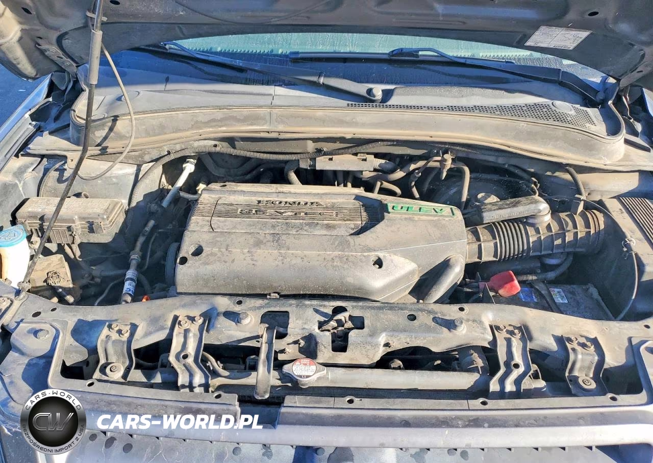 2004 Honda Pilot Exl VIN:2HKYF18634H555789 - 12