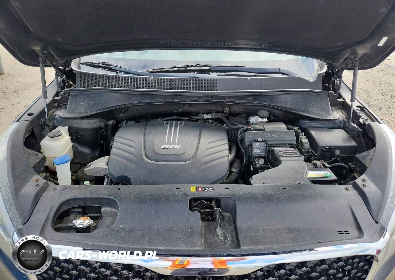 2017 Kia Sorento Ex VIN:5XYPHDA52HG276372 - 12