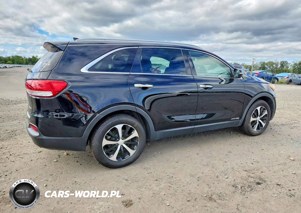 2017 Kia Sorento Ex VIN:5XYPHDA52HG276372 - 3