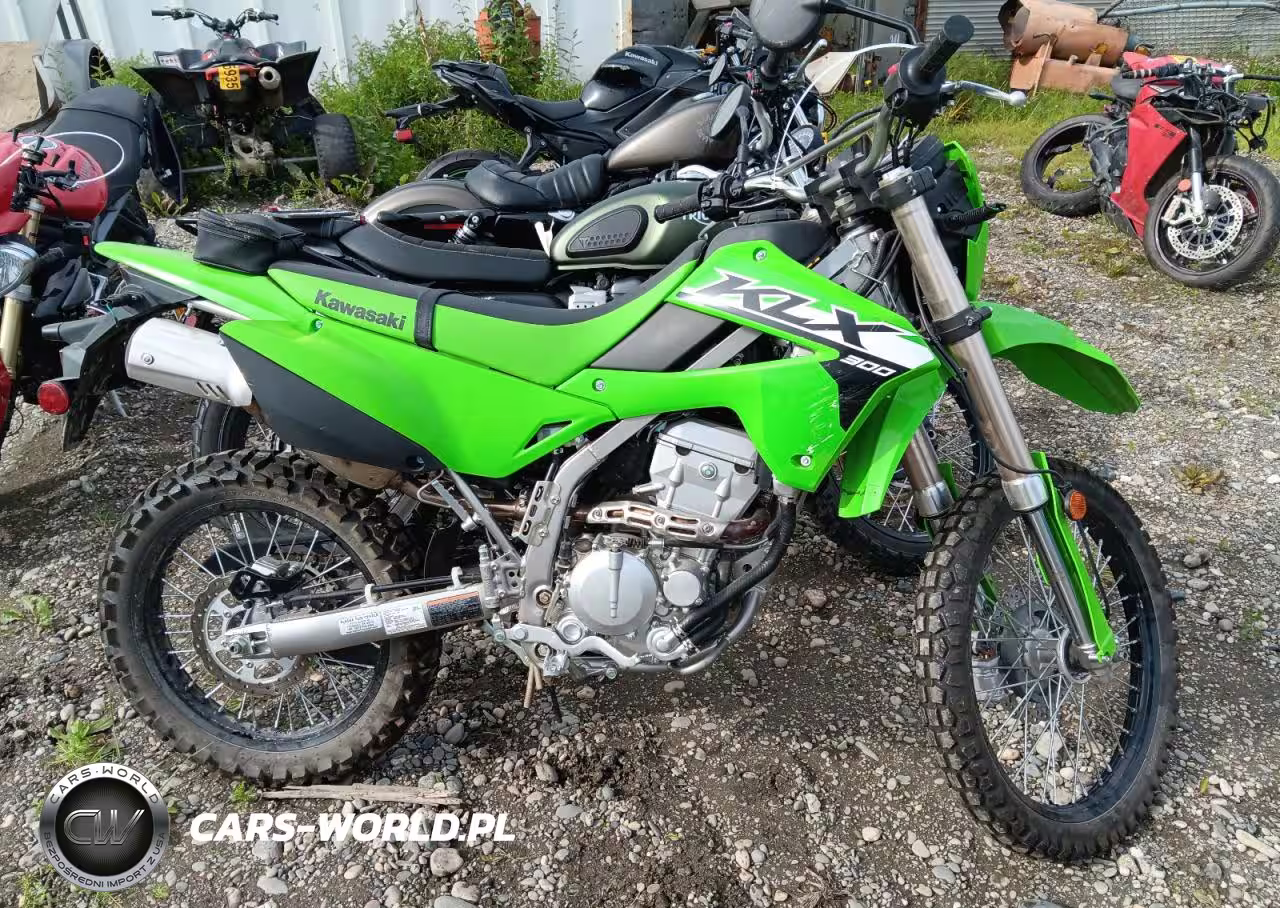 2024 Kawasaki Klx300 F