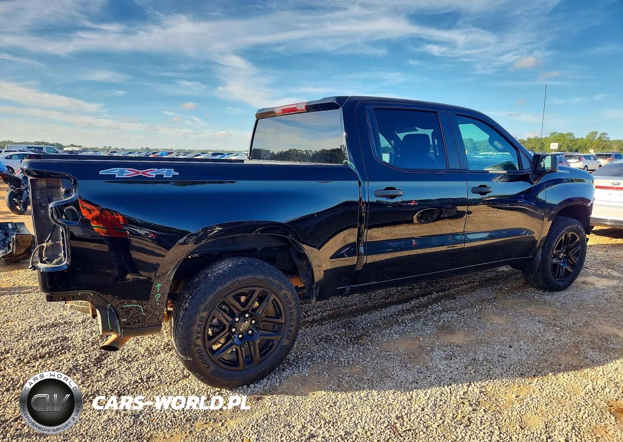 2023 Chevrolet Silverado K1500 Custom VIN:1GCPDBEK6PZ117158 - 3
