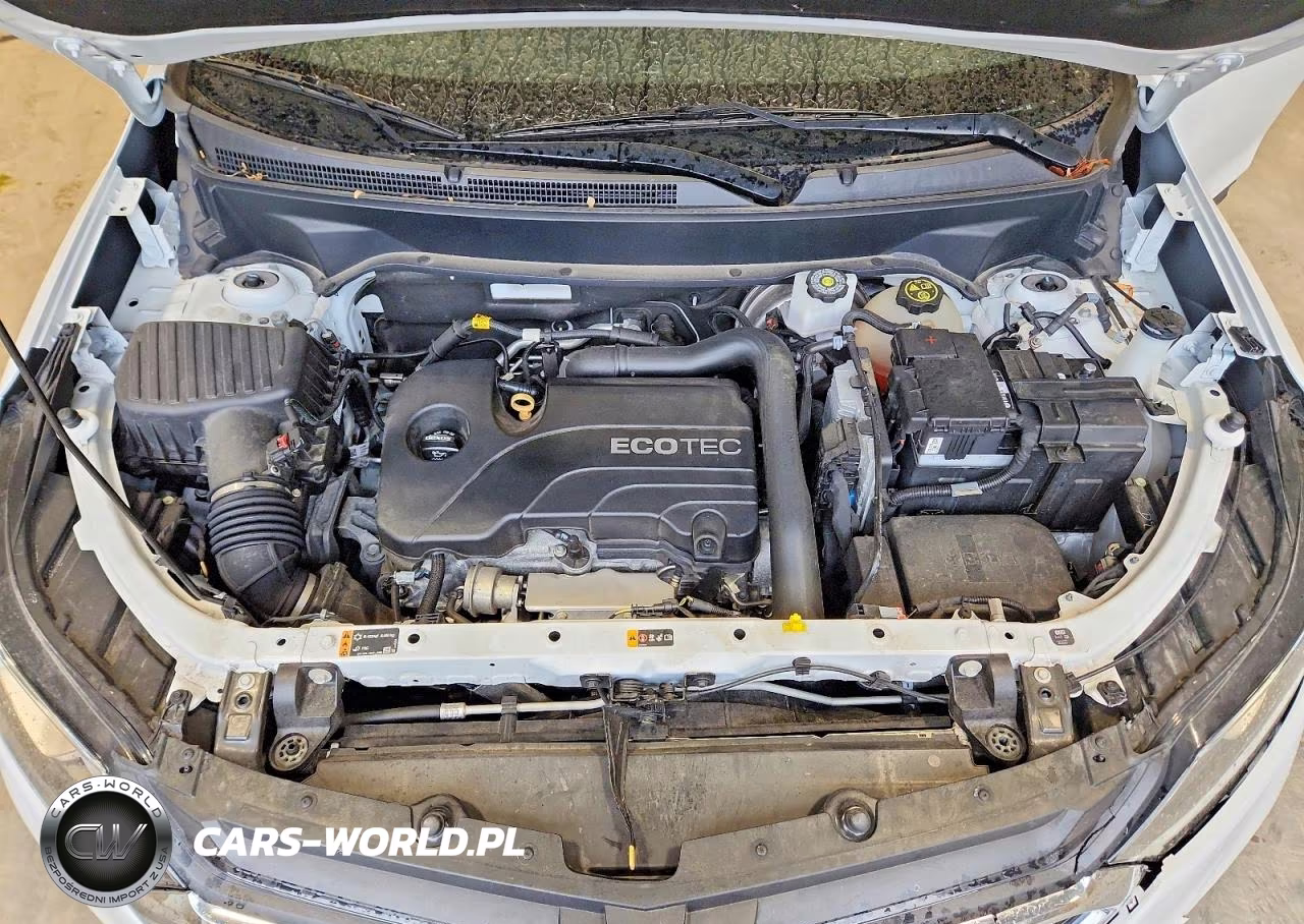 2019 Chevrolet Equinox Lt VIN:2GNAXKEV0K6188360 - 12