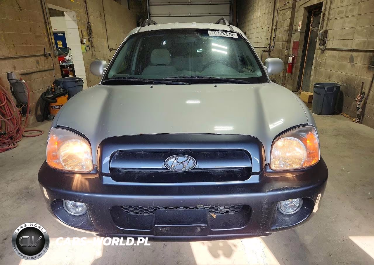 2005 Hyundai Santa Fe Gls VIN:KM8SC73D25U904029 - 5