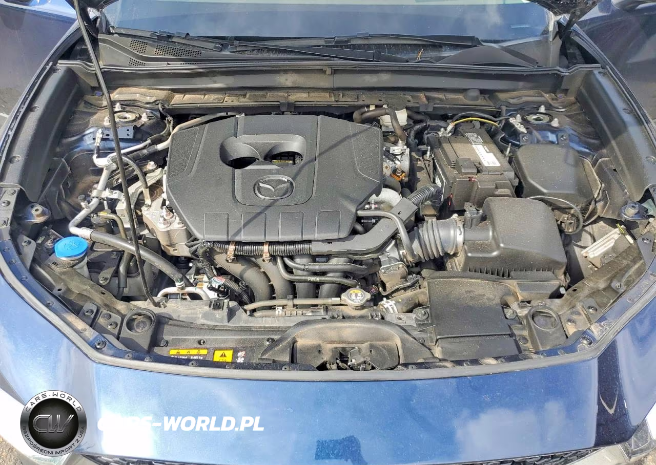2025 Mazda Cx-30 Premium VIN:3MVDMBDMXSM767030 - 12