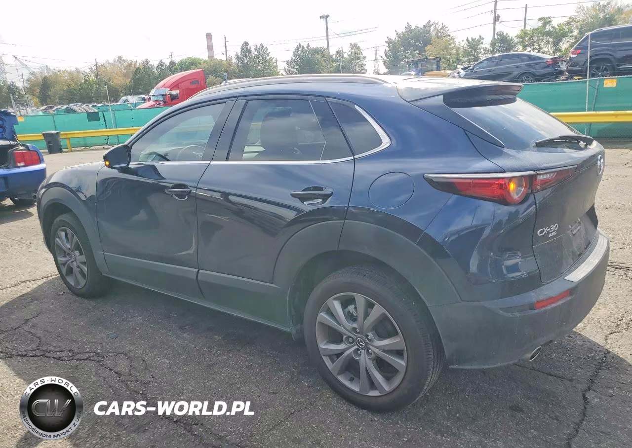 2025 Mazda Cx-30 Premium VIN:3MVDMBDMXSM767030 - 2