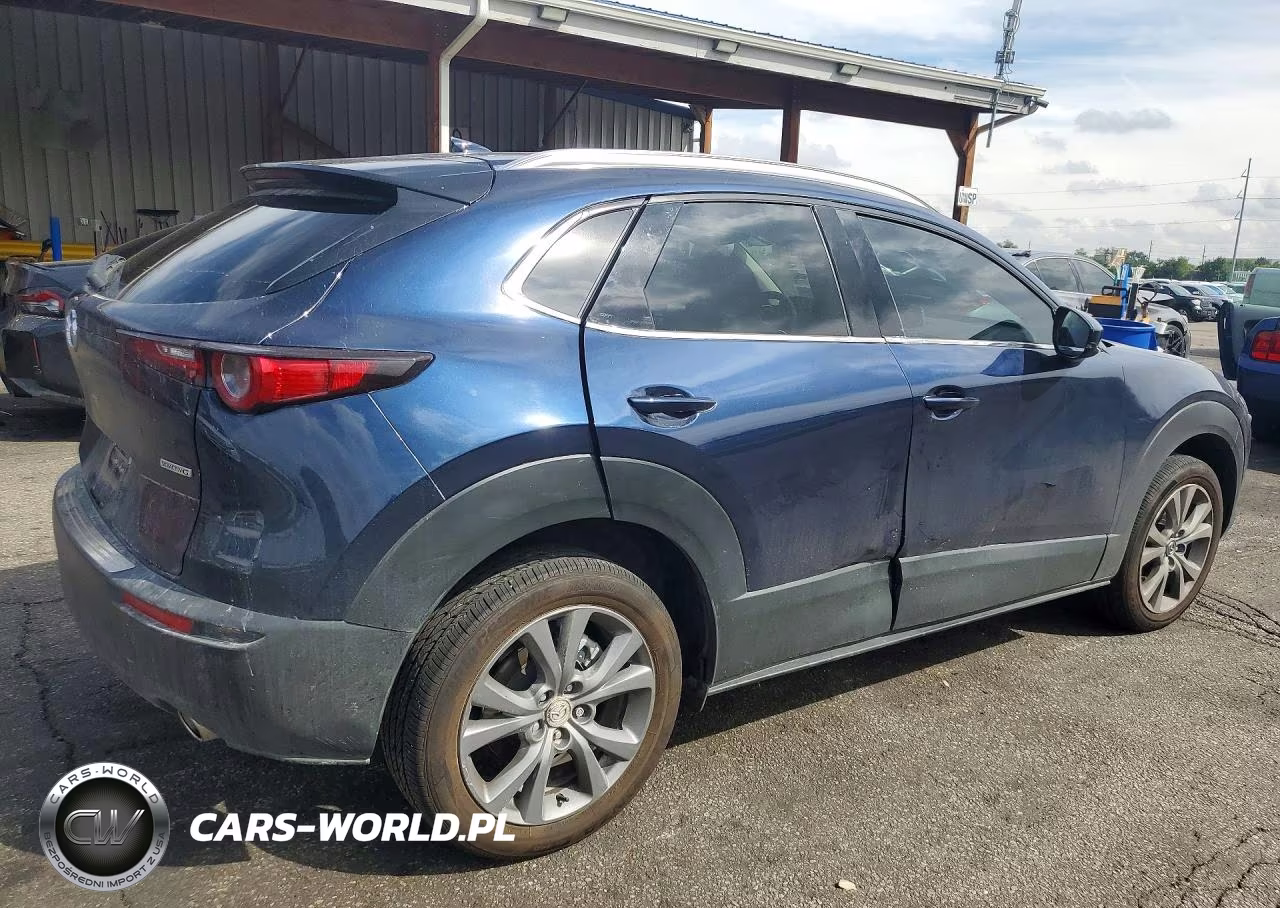 2025 Mazda Cx-30 Premium VIN:3MVDMBDMXSM767030 - 3