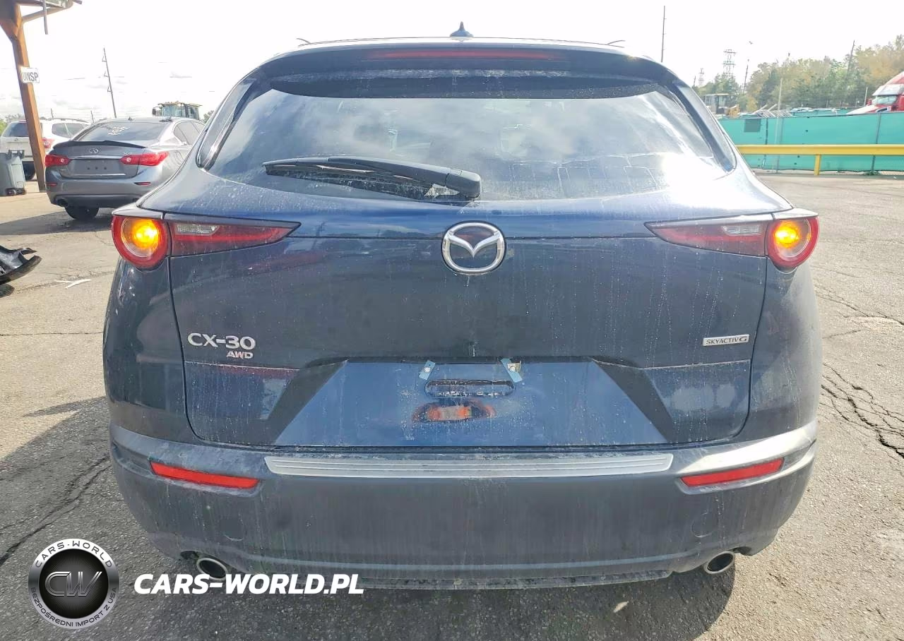 2025 Mazda Cx-30 Premium VIN:3MVDMBDMXSM767030 - 6