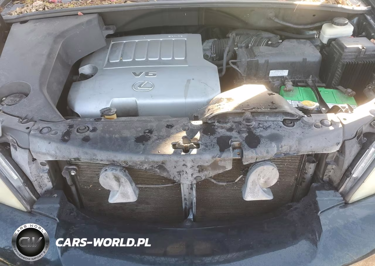 2007 Lexus Rx 350 Base VIN:2T2GK31UX7C021154 - 12