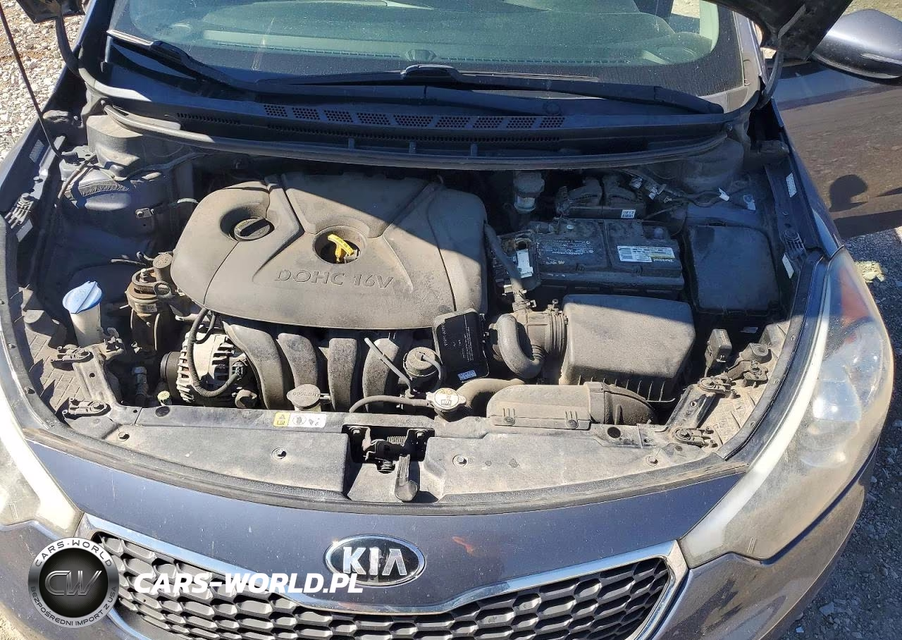 2015 Kia Forte Lx VIN:KNAFX4A60F5435111 - 11
