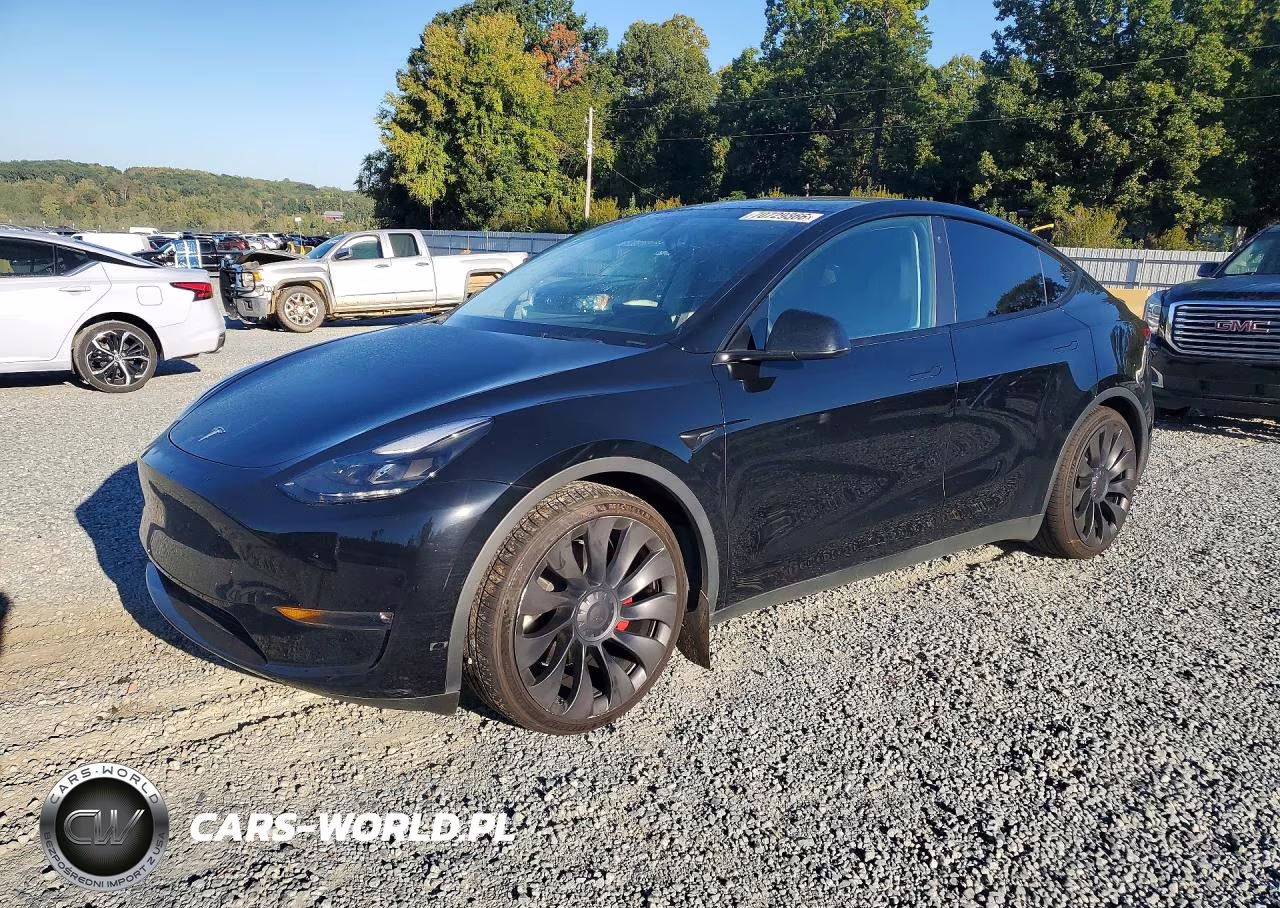 2023 Tesla Model Y VIN:7SAYGDEF5PF590827 - 1