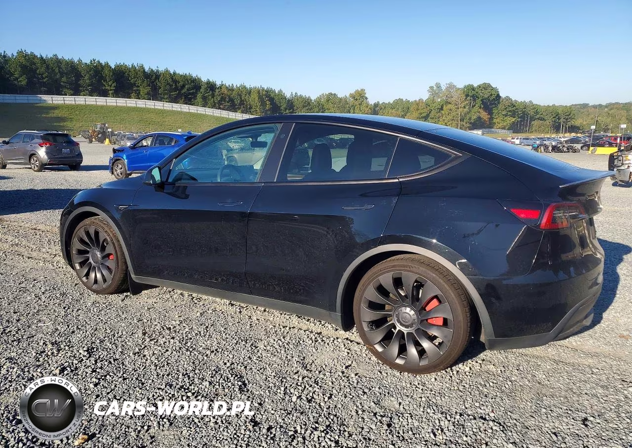 2023 Tesla Model Y VIN:7SAYGDEF5PF590827 - 2