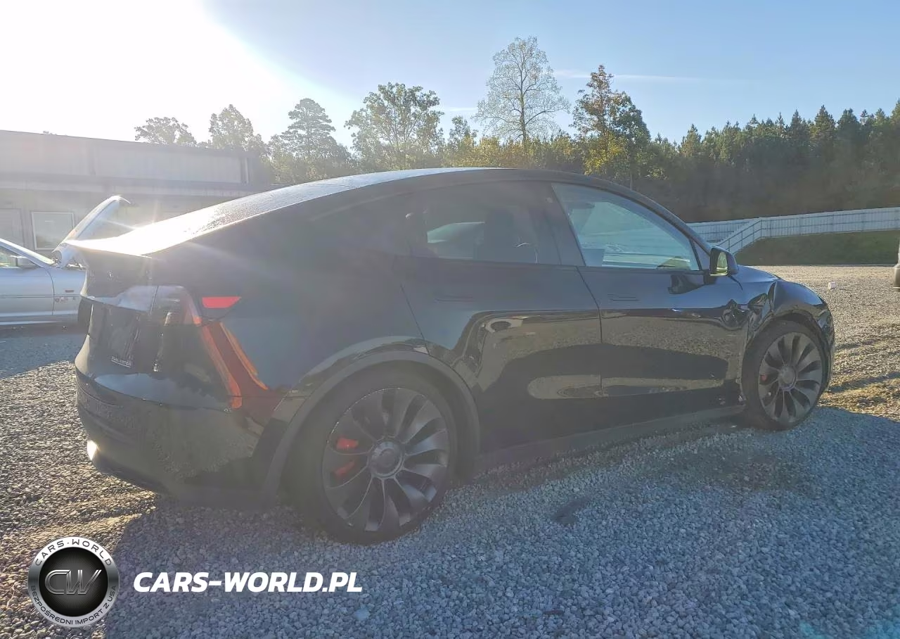 2023 Tesla Model Y VIN:7SAYGDEF5PF590827 - 3