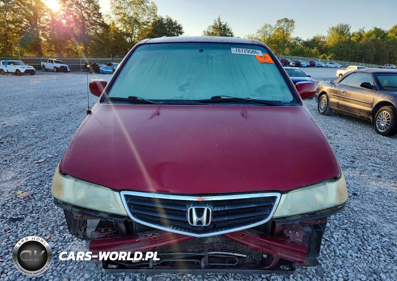 2004 Honda Odyssey Exl VIN:5FNRL18064B059506 - 5