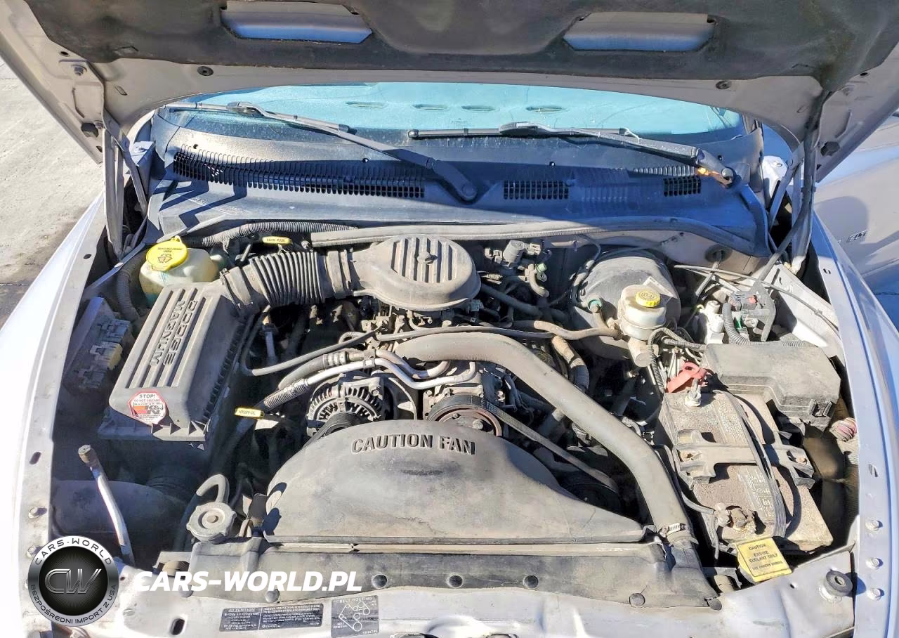 1999 Dodge Dakota Sport VIN:1B7GL22X3XS118103 - 11