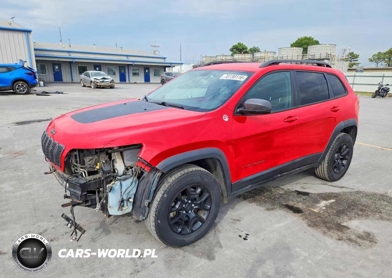 2019 Jeep Cherokee Trailhawk VIN:1C4PJMBXXKD289767 - 1