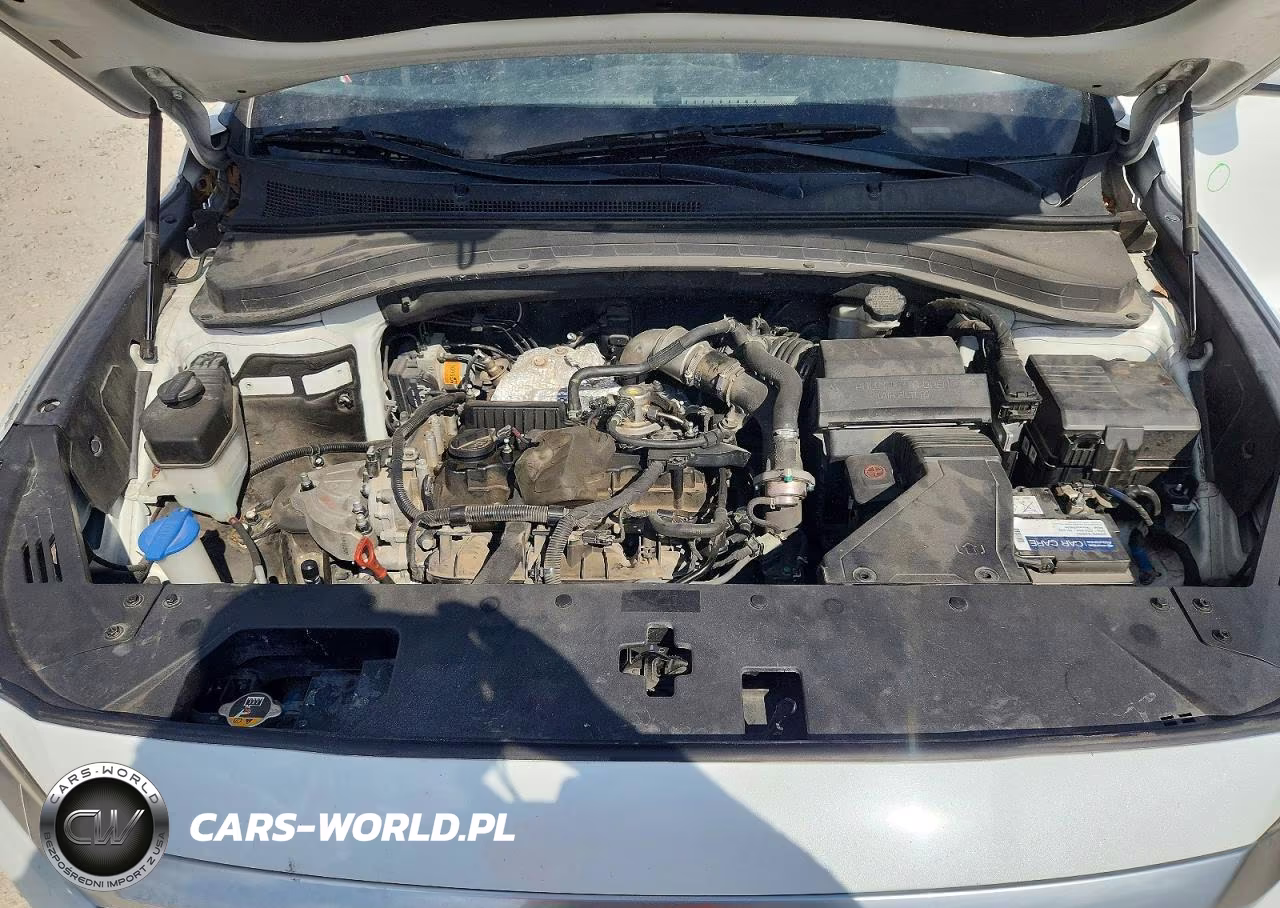 2019 Hyundai Santa Fe Limited 2.0T VIN:5NMS53AA6KH030674 - 12