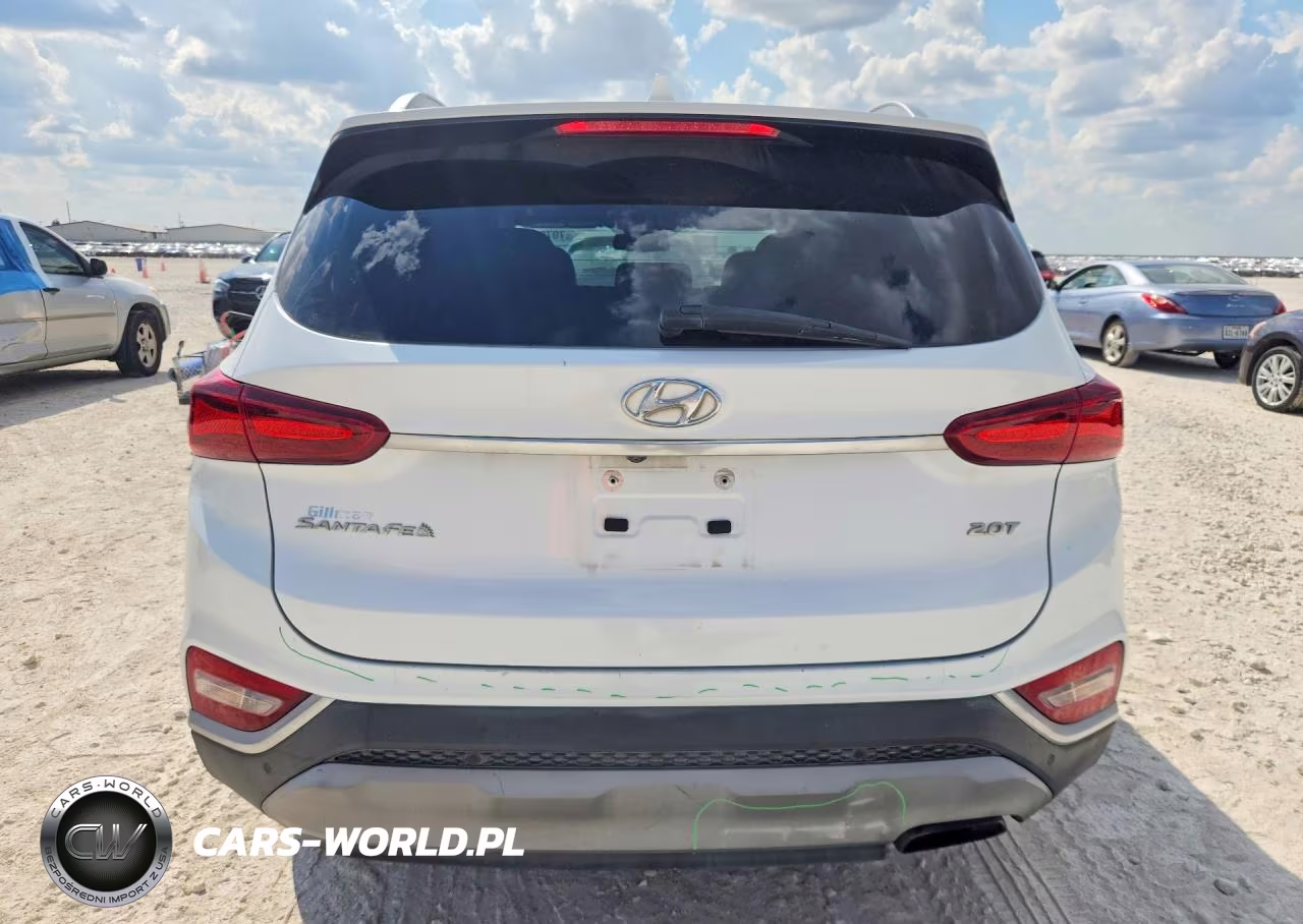 2019 Hyundai Santa Fe Limited 2.0T VIN:5NMS53AA6KH030674 - 6