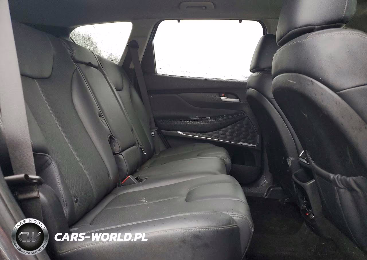 2020 Hyundai Santa Fe Limited VIN:5NMS5CAD7LH229938 - 11