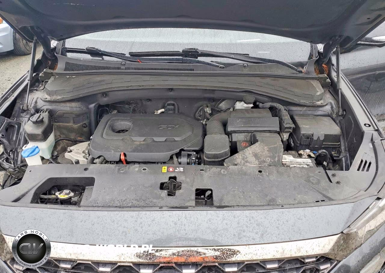 2020 Hyundai Santa Fe Limited VIN:5NMS5CAD7LH229938 - 12