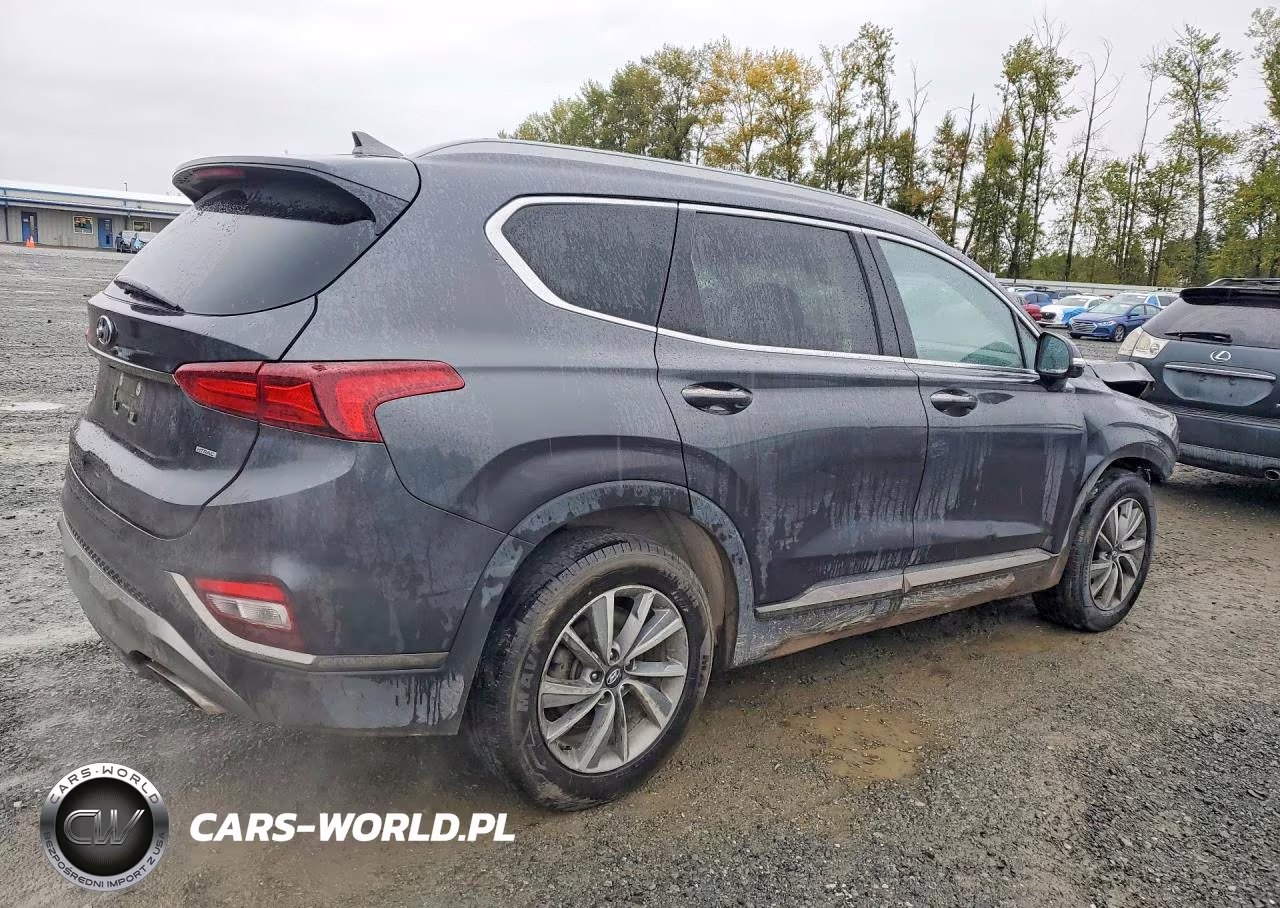 2020 Hyundai Santa Fe Limited VIN:5NMS5CAD7LH229938 - 3