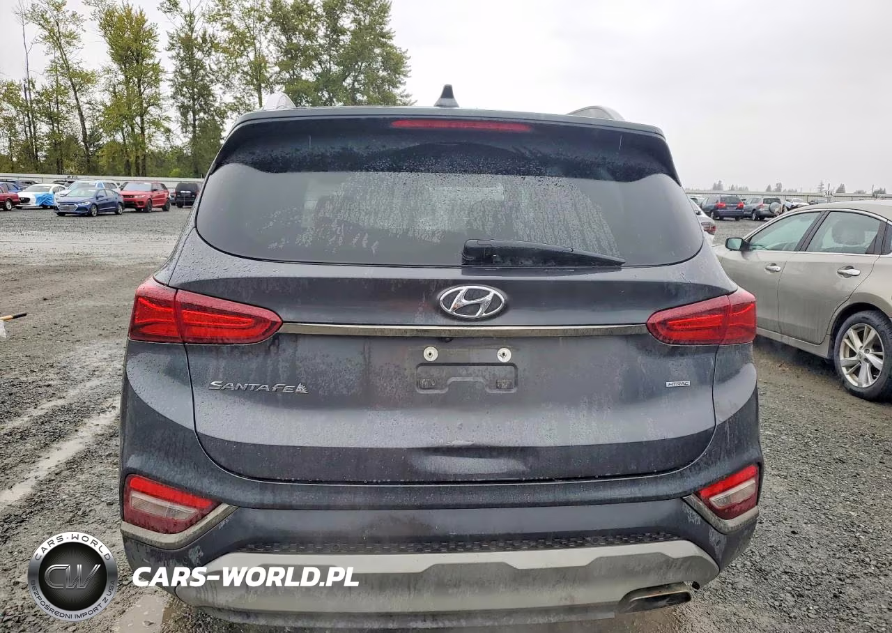 2020 Hyundai Santa Fe Limited VIN:5NMS5CAD7LH229938 - 6
