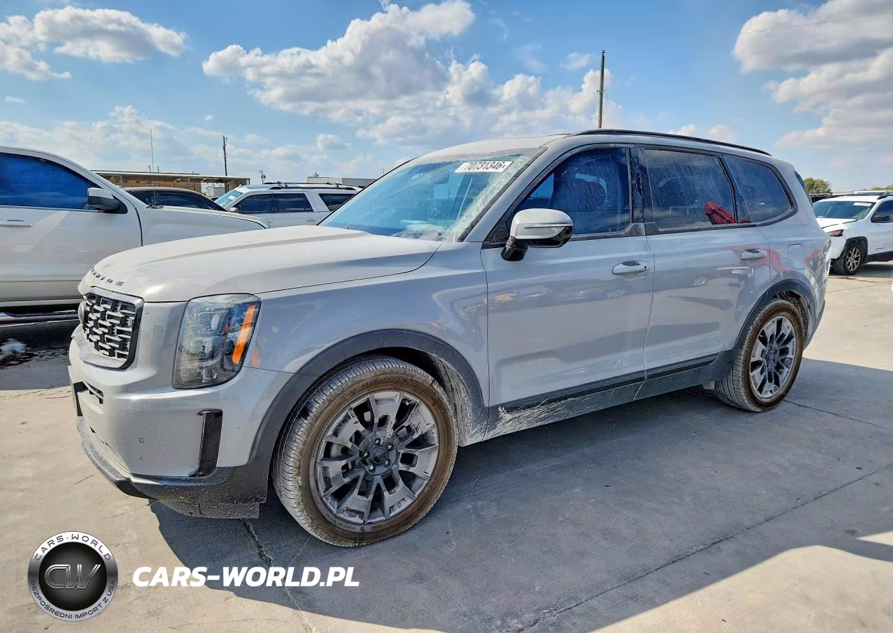 2021 Kia Telluride Sx VIN:5XYP5DHC4MG187104 - 1