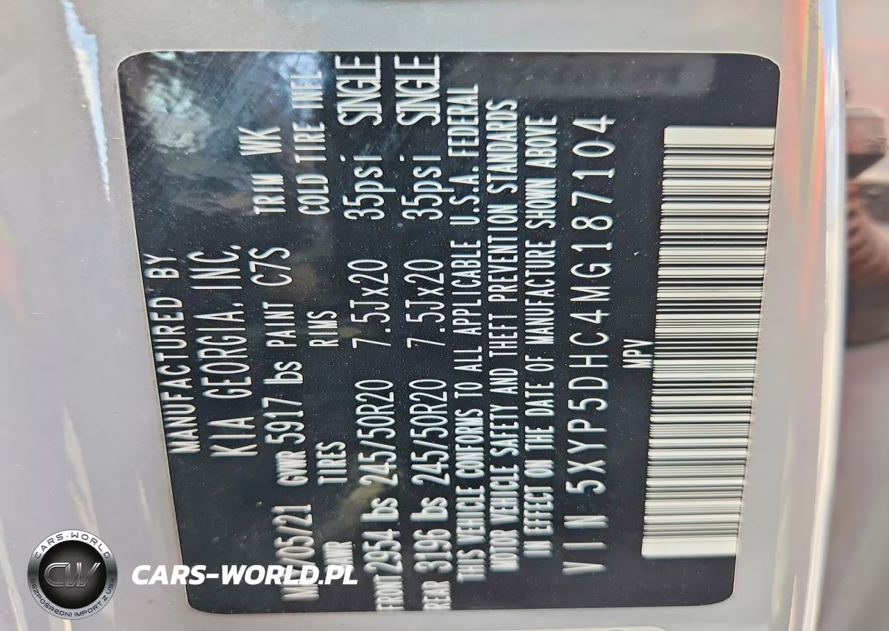 2021 Kia Telluride Sx VIN:5XYP5DHC4MG187104 - 13