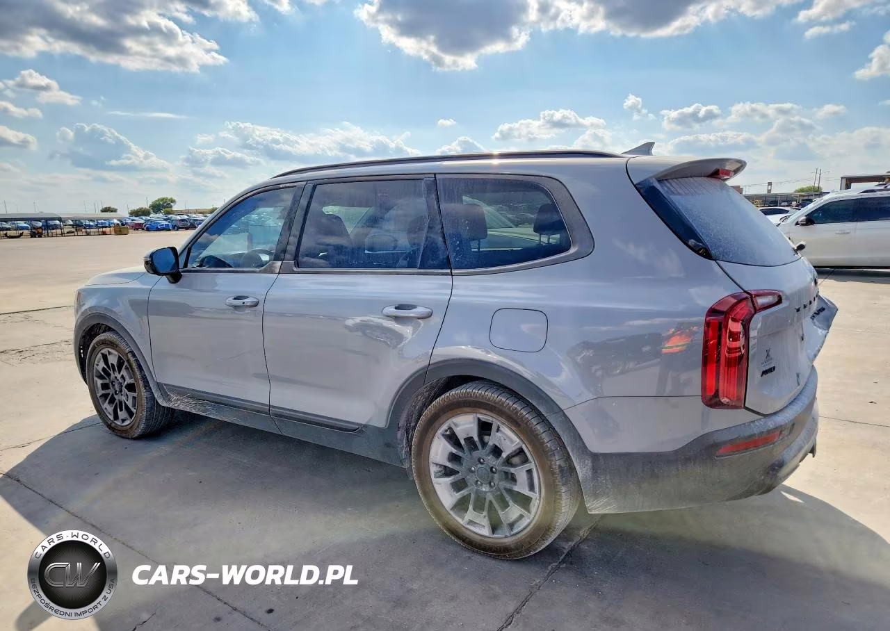 2021 Kia Telluride Sx VIN:5XYP5DHC4MG187104 - 2