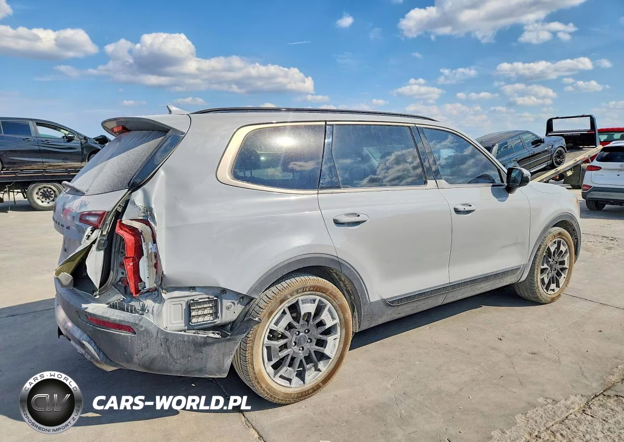 2021 Kia Telluride Sx VIN:5XYP5DHC4MG187104 - 3