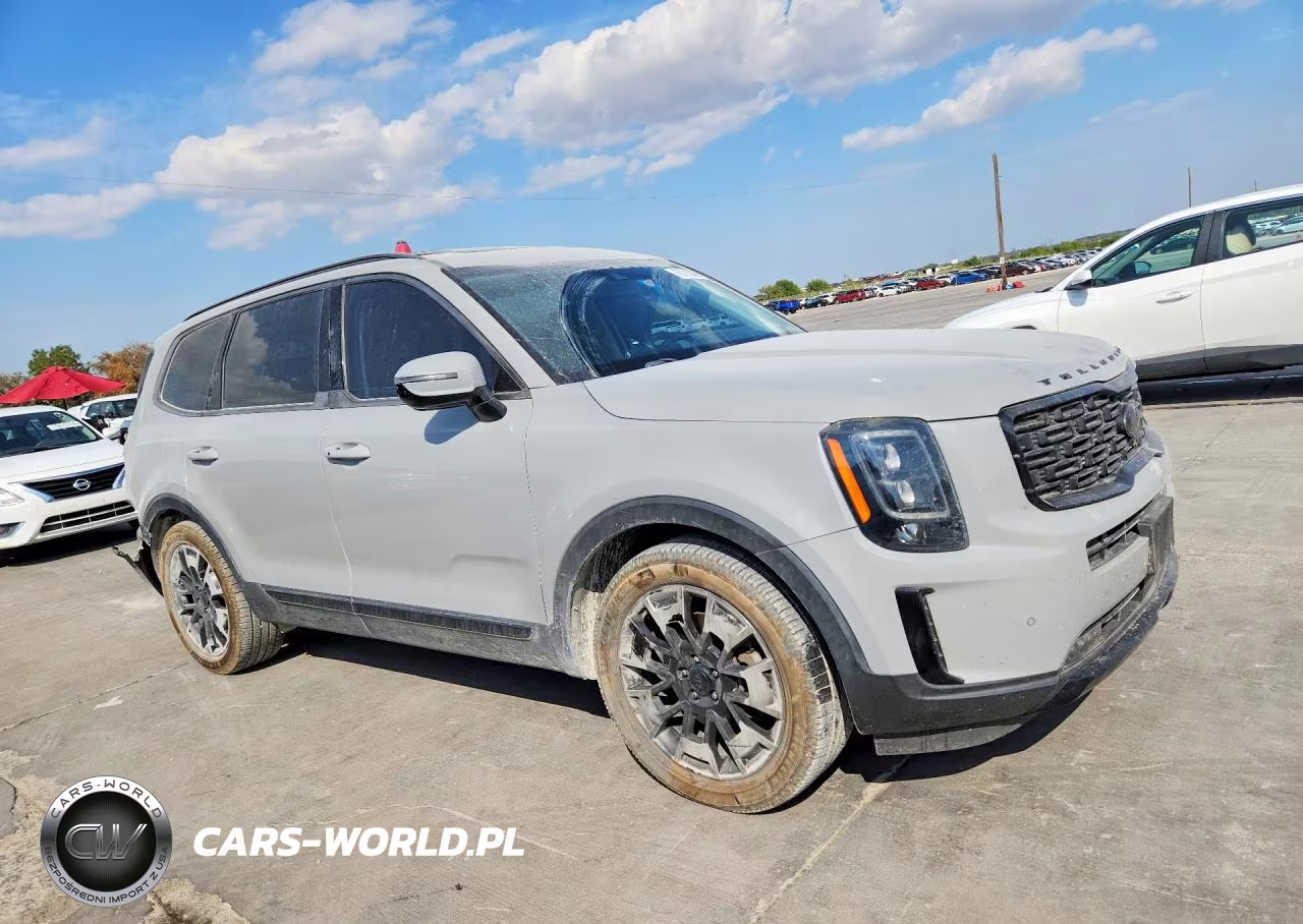 2021 Kia Telluride Sx VIN:5XYP5DHC4MG187104 - 4