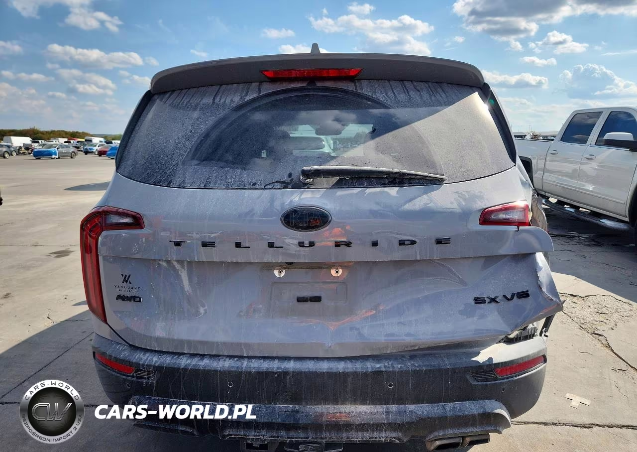 2021 Kia Telluride Sx VIN:5XYP5DHC4MG187104 - 6