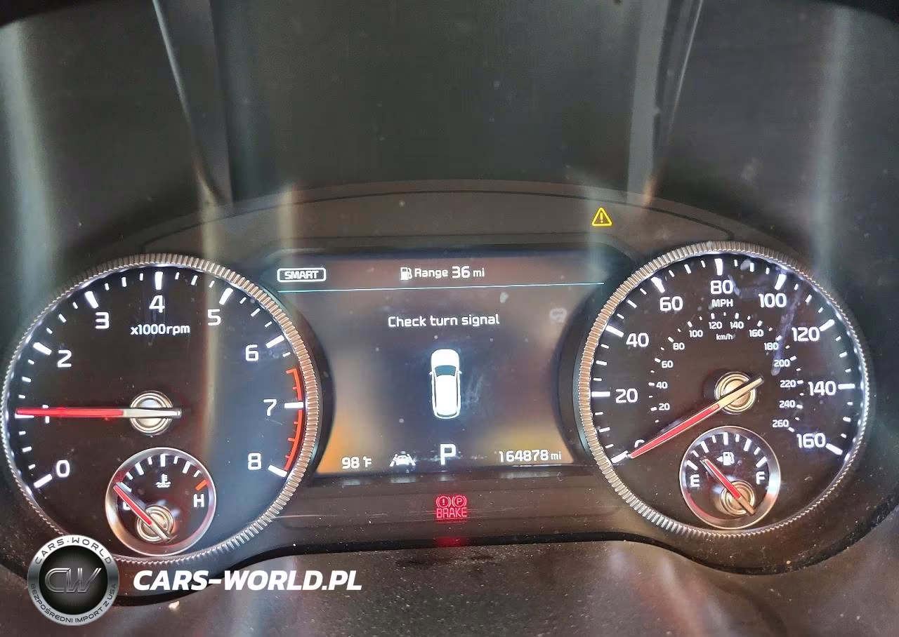 2021 Kia Telluride Sx VIN:5XYP5DHC4MG187104 - 9